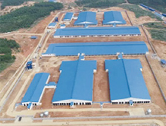 禾丰牧业颍上2万平方肥