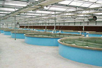 日照涛雒水产养殖区